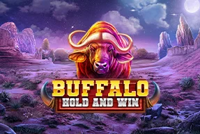 Buffalo Hold and Win