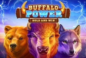 Buffalo Power: Hold and Win