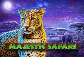 Majestic Safari